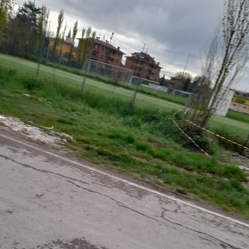 Fotosegnalazione di Castelfranco emilia