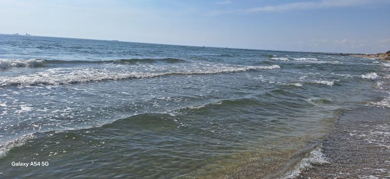 onde placide