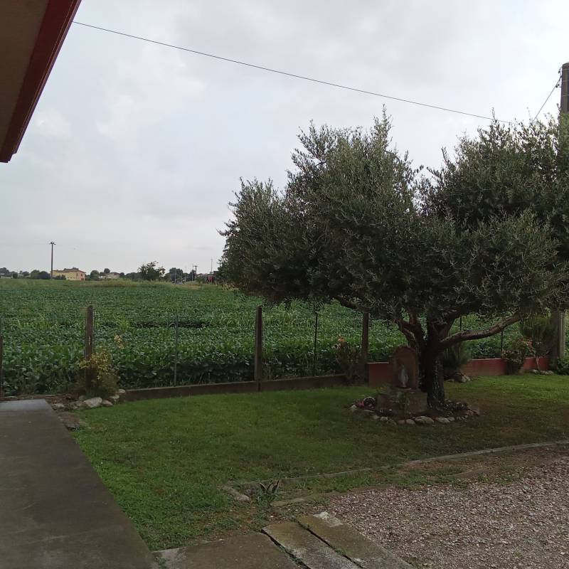 Fotosegnalazione di Urbana