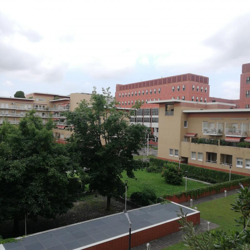 Fotosegnalazione di Milano bicocca