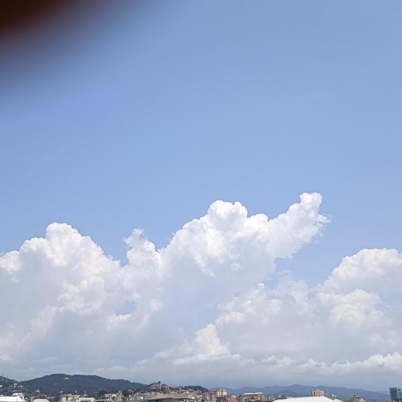 Fotosegnalazione di Savona centro urbano