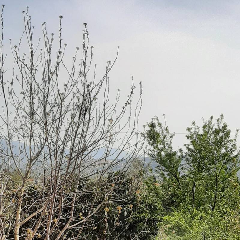 Fotosegnalazione di Priverno