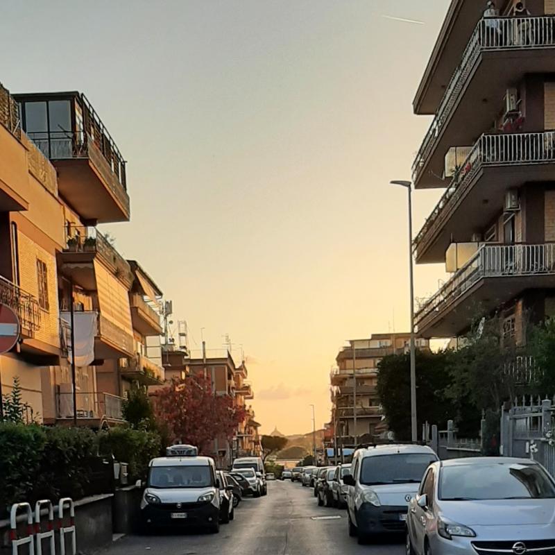 Fotosegnalazione di Roma tor vergata