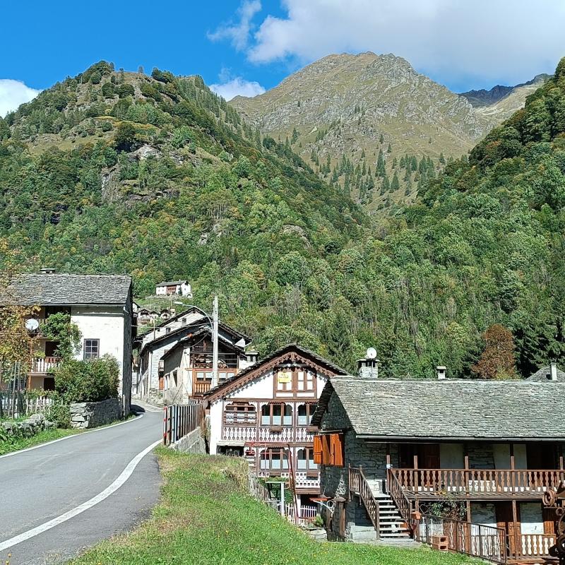 Fotosegnalazione di Alto sermenza