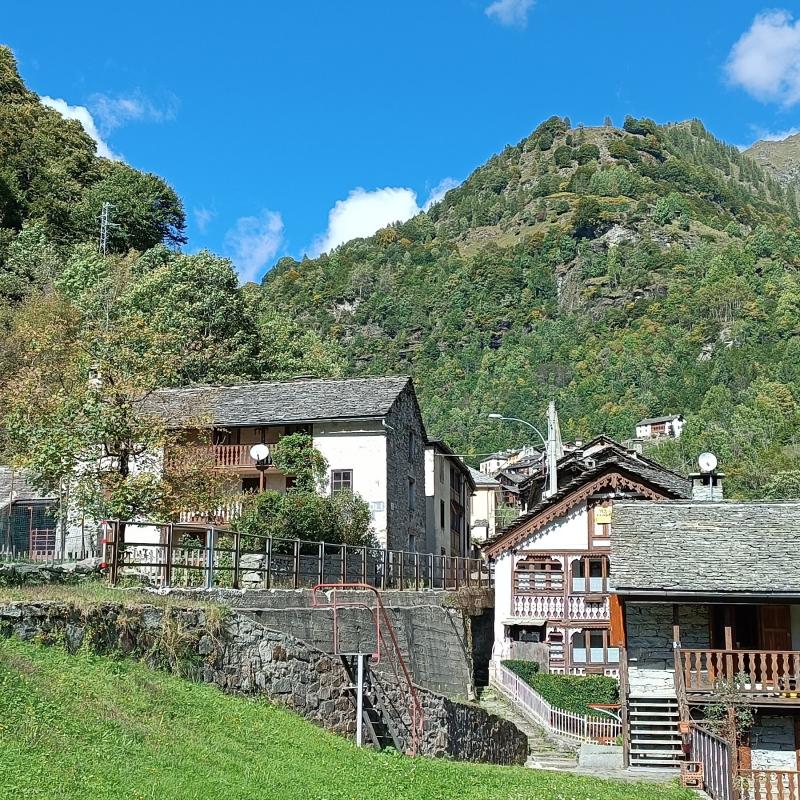 Fotosegnalazione di Alto sermenza