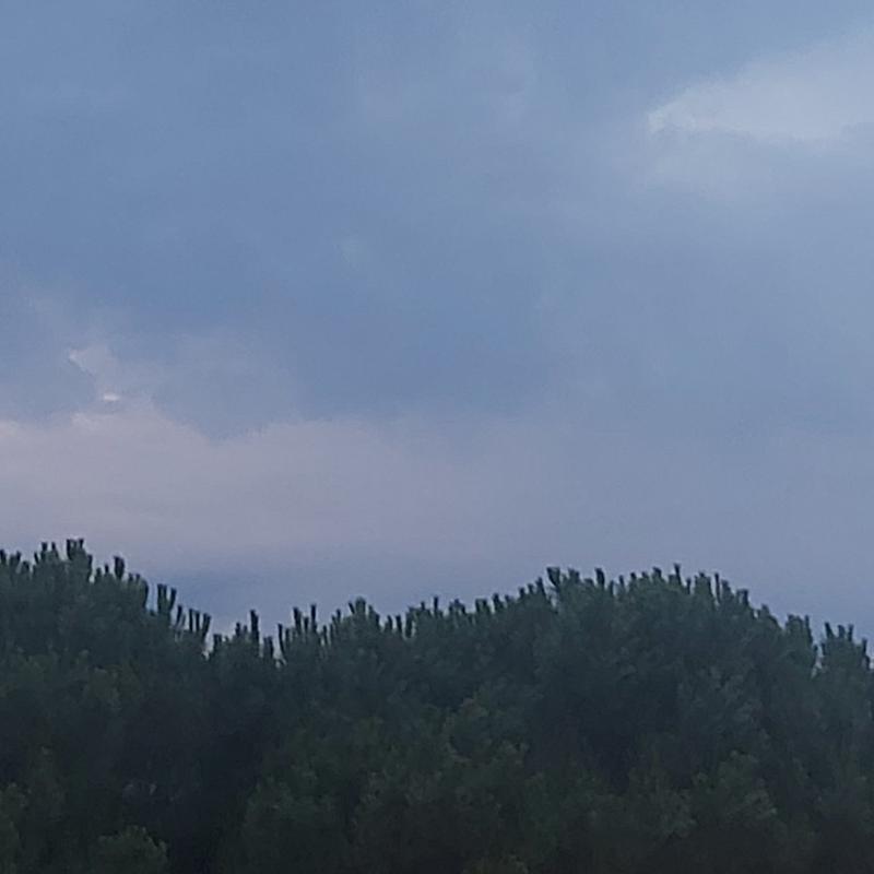 Fotosegnalazione di Taranto montegranaro - salinella