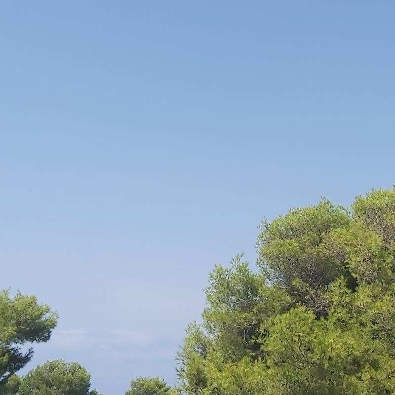 Nel blu....