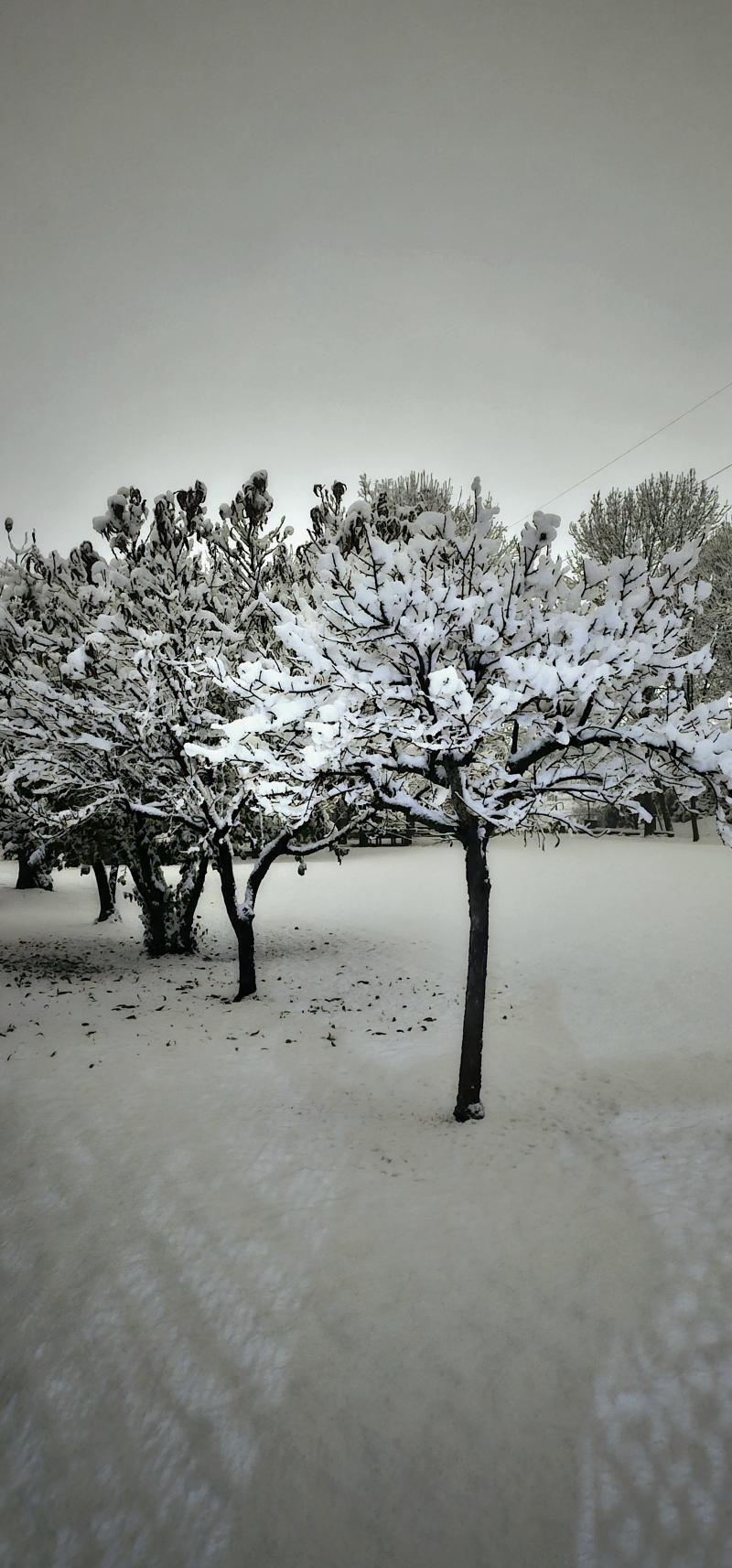 neve novembrina