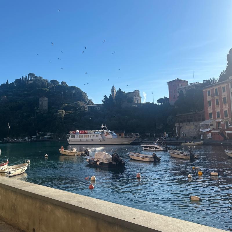 Fotosegnalazione di Portofino