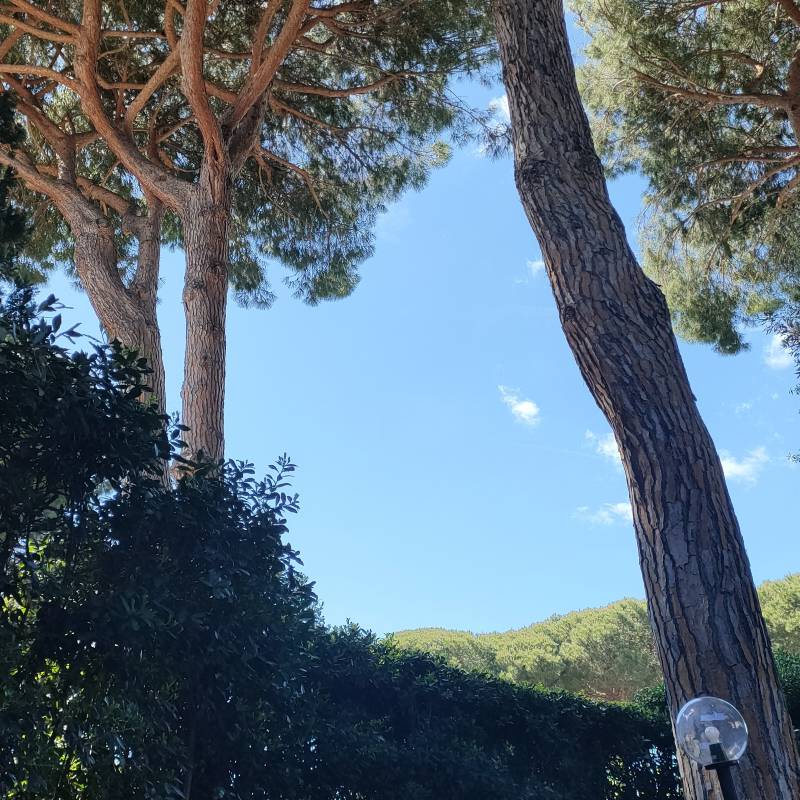 Fotosegnalazione di Castiglione della pescaia