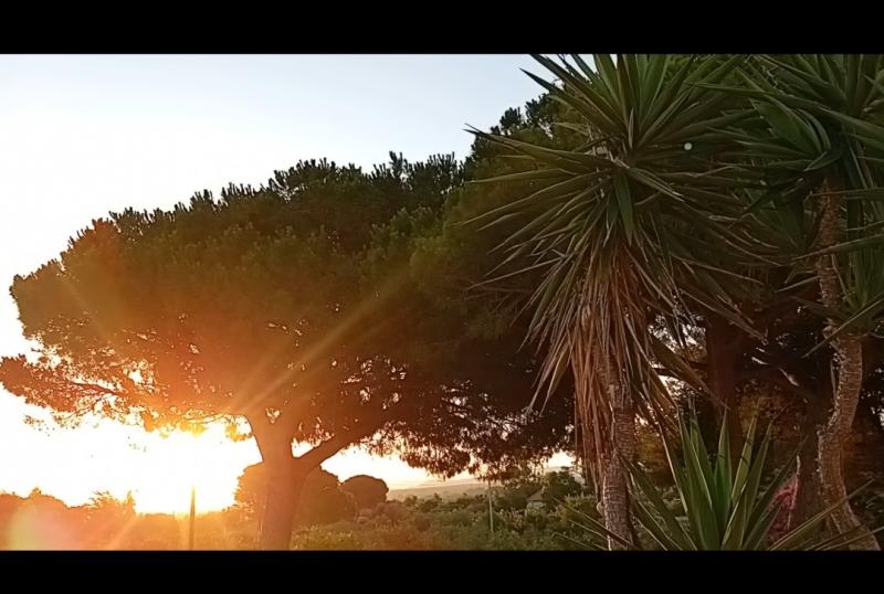 buongiorno