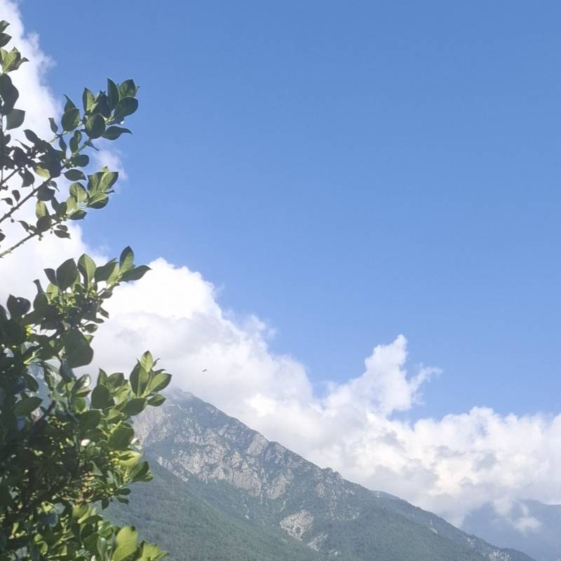 Fotosegnalazione di Niardo