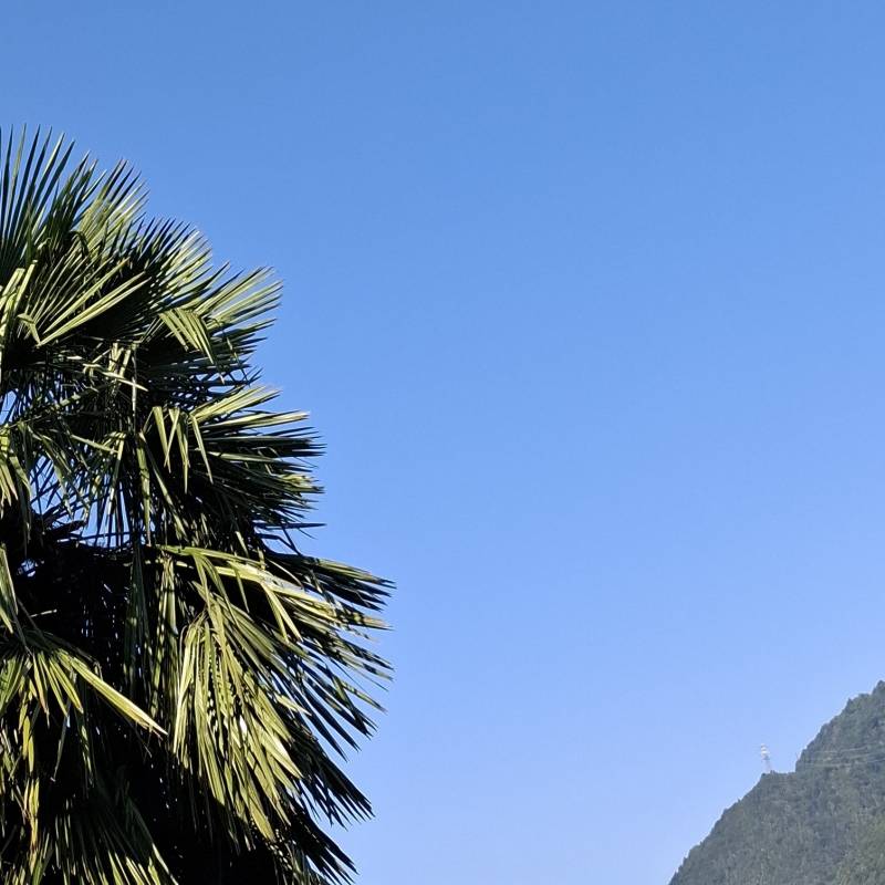 Fotosegnalazione di Niardo