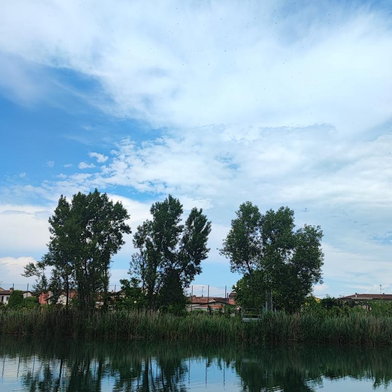Fotosegnalazione di Volta mantovana