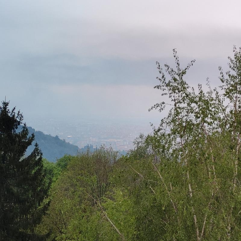 Fotosegnalazione di Torino