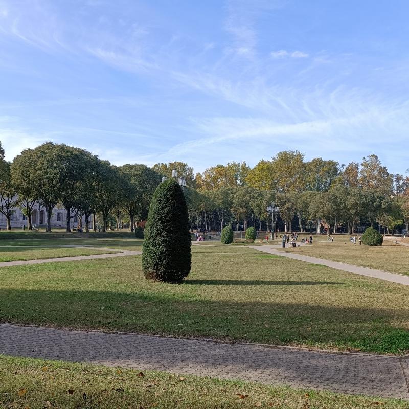 Fotosegnalazione di Mantova centro