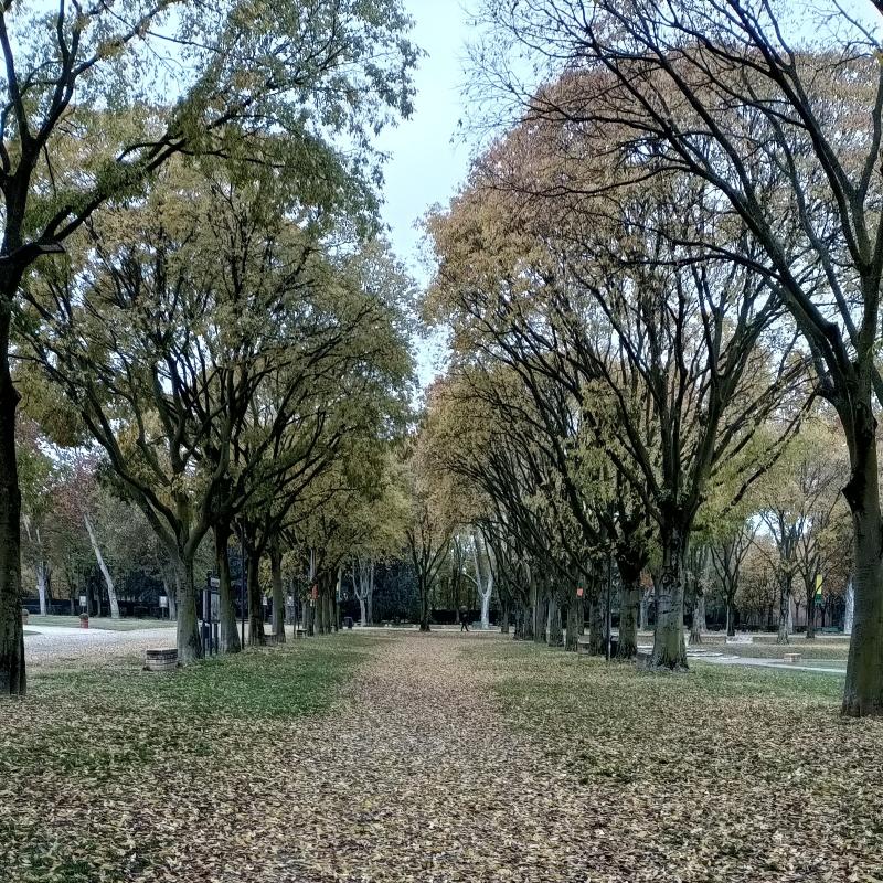 Fotosegnalazione di Mantova centro