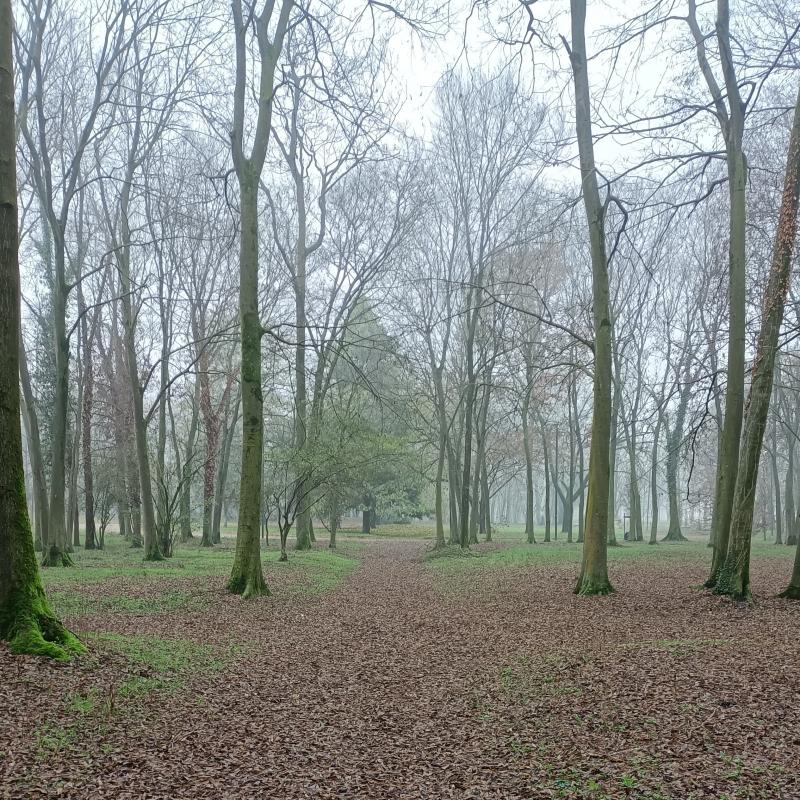 Fotosegnalazione di Mantova sud