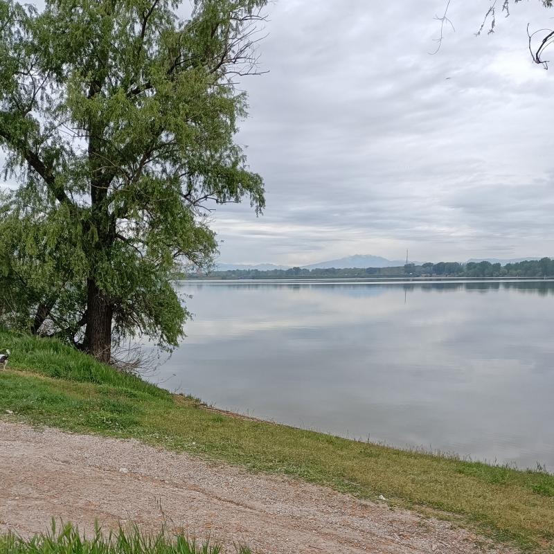 Fotosegnalazione di Mantova sud