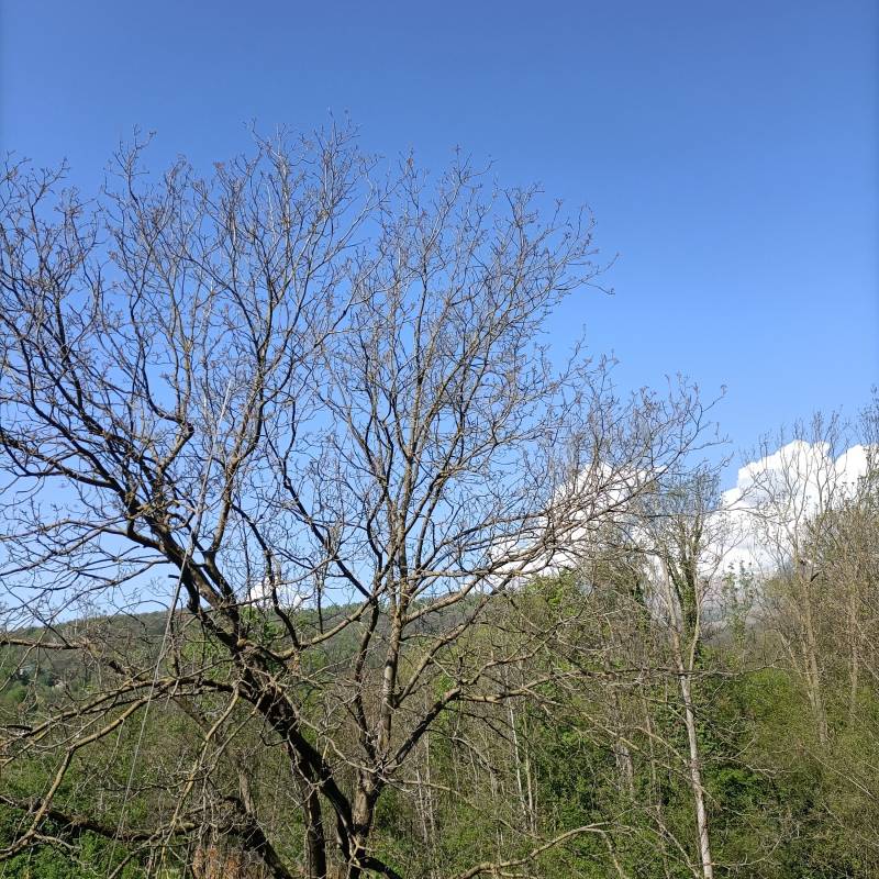Fotosegnalazione di Rueglio
