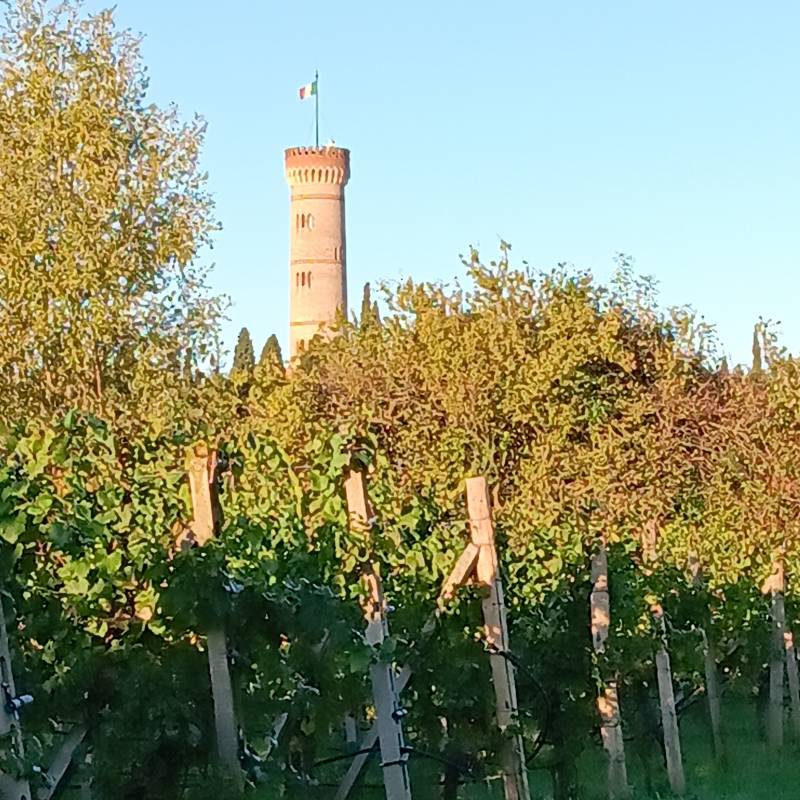 Fotosegnalazione di Desenzano del garda