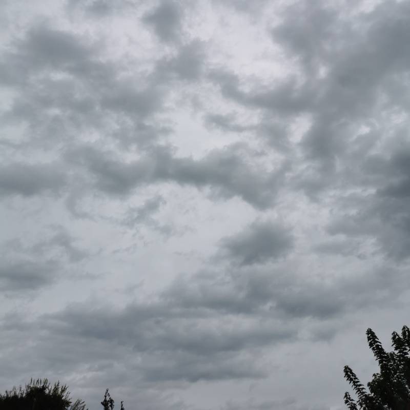 Fotosegnalazione di Molinella
