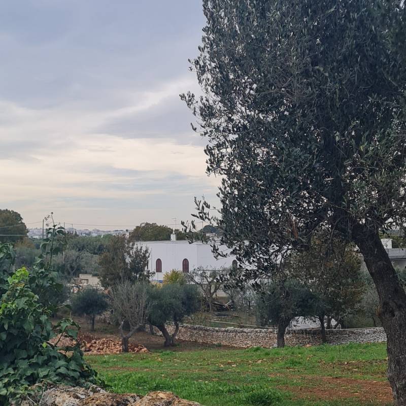 Fotosegnalazione di Cisternino