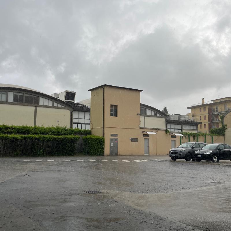 Fotosegnalazione di Firenze isolotto - legnaia