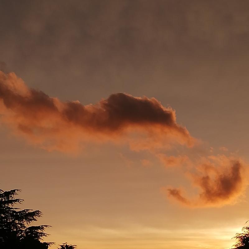 rosso di sera