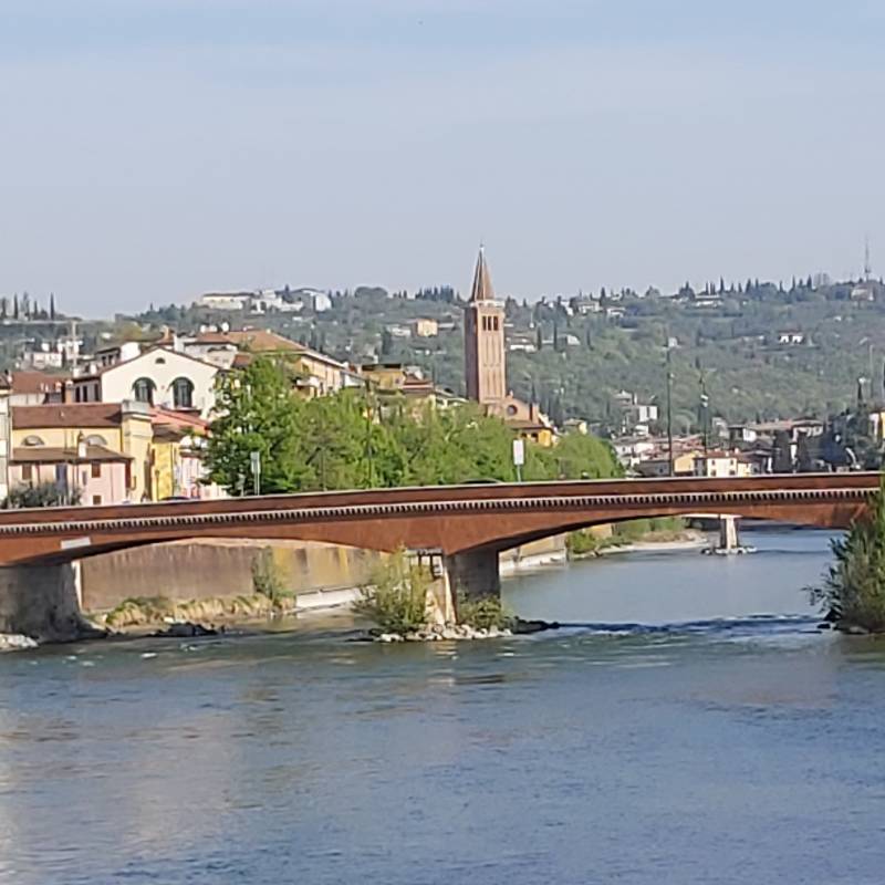 Ponte navi