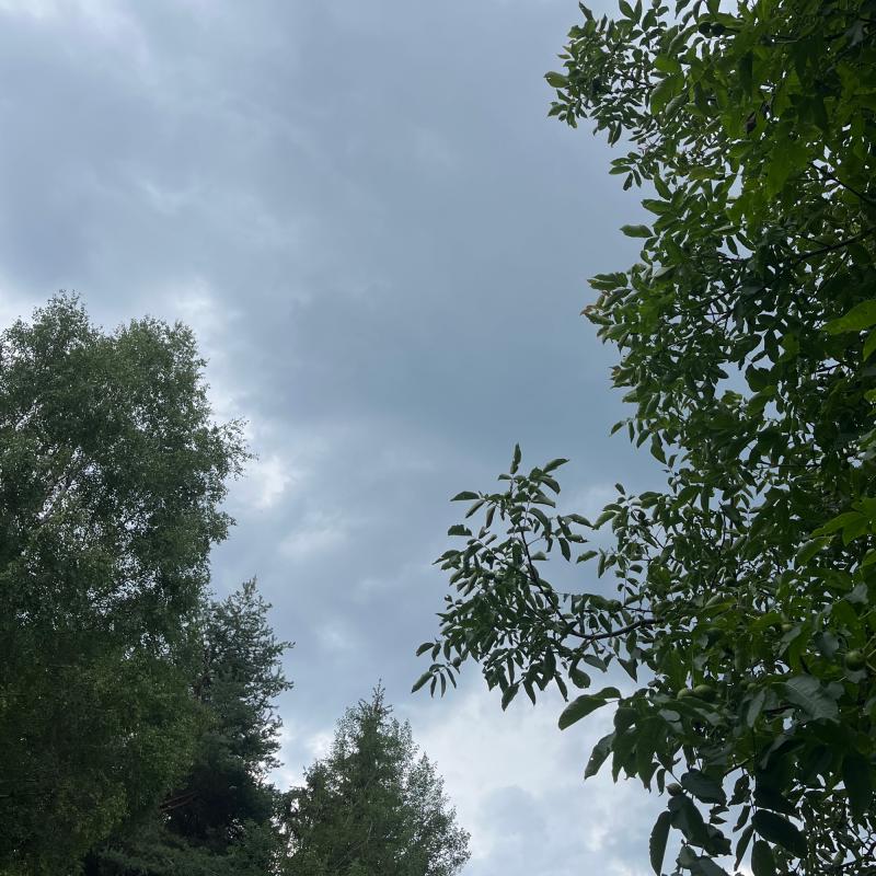 Fotosegnalazione di Ledro