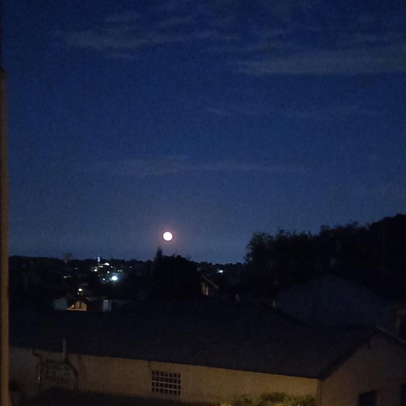 Fotosegnalazione di Jerago con orago