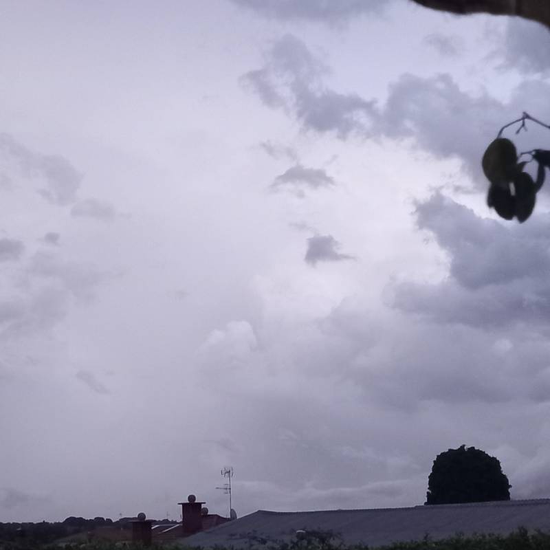 Fotosegnalazione di Jerago con orago