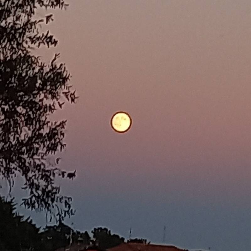 Fotosegnalazione di Jerago con orago