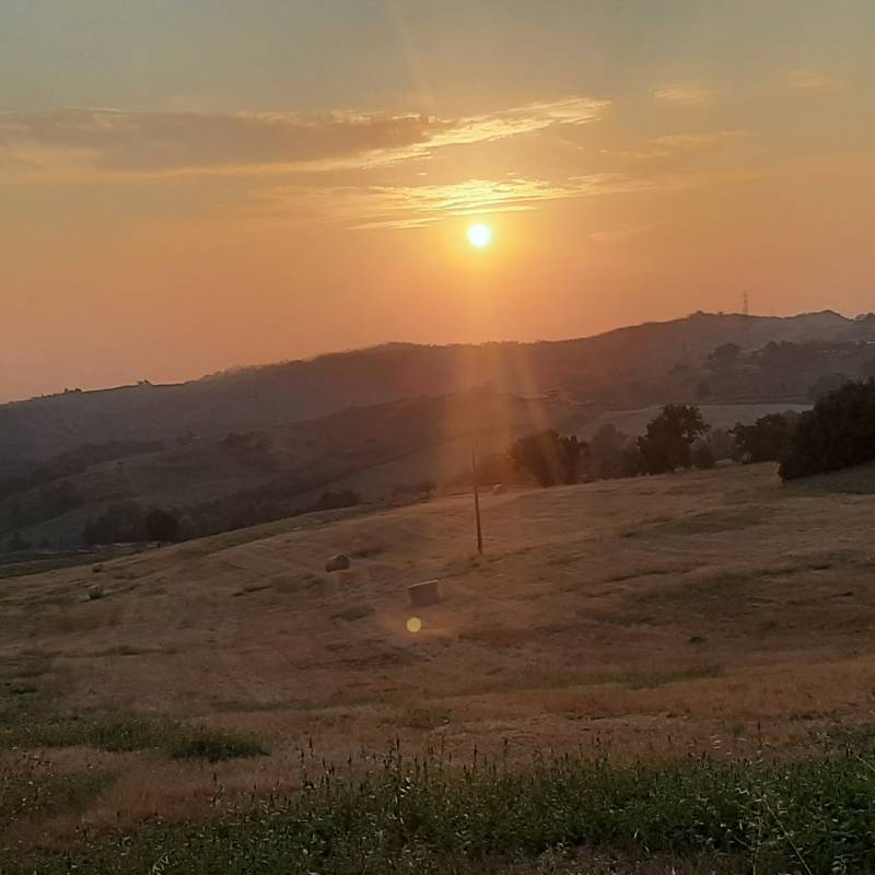 Fotosegnalazione di Lesignano de' bagni