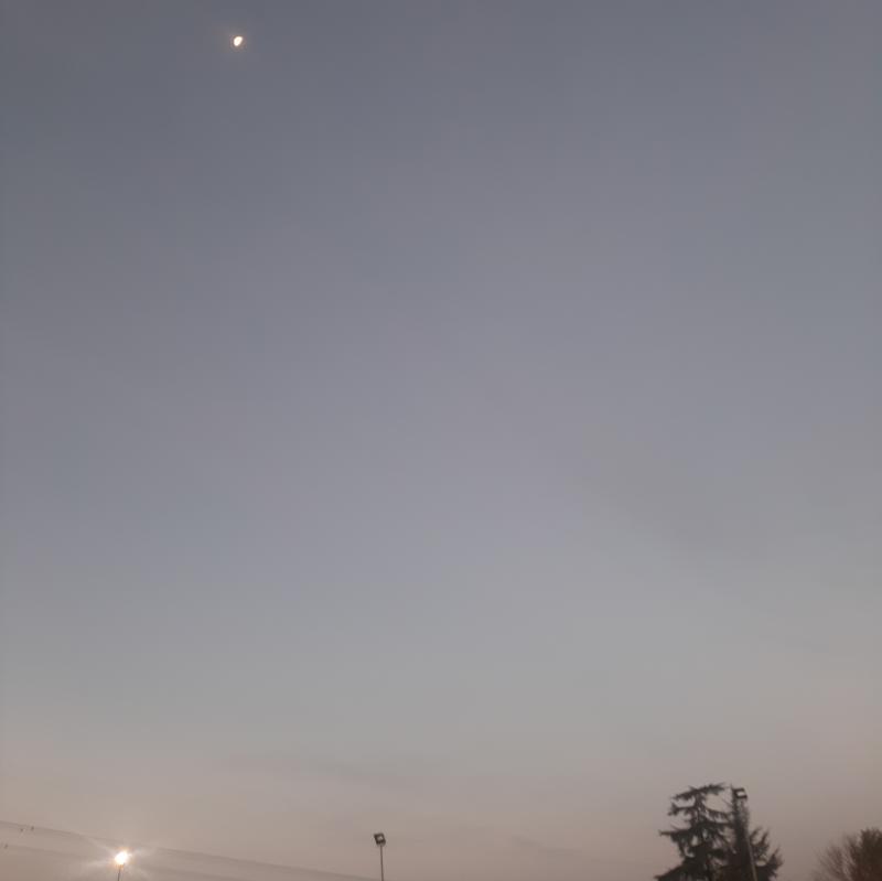 Fotosegnalazione di Parma montanara
