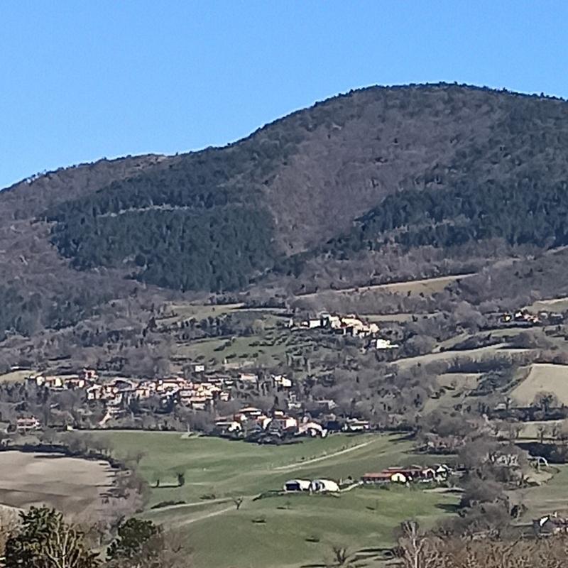 Fotosegnalazione di Fabriano