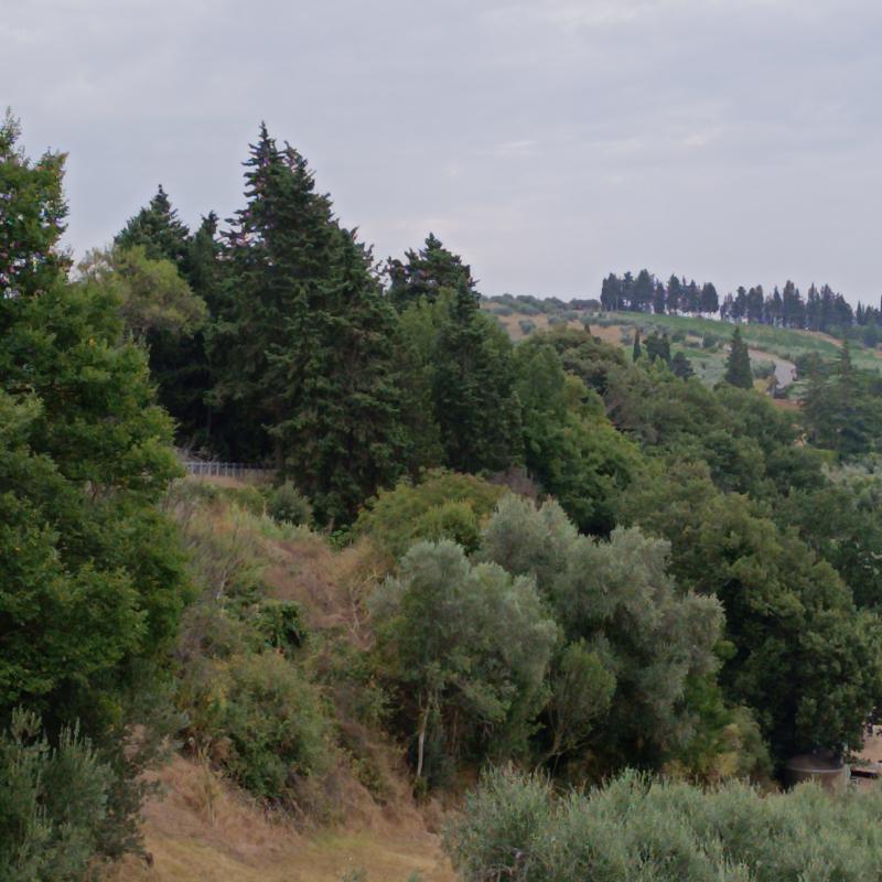 Fotosegnalazione di San casciano in val di pesa