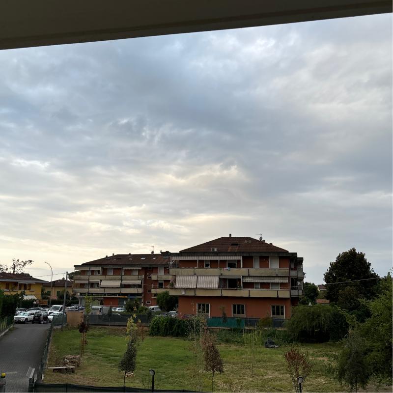 Fotosegnalazione di Massa litorale