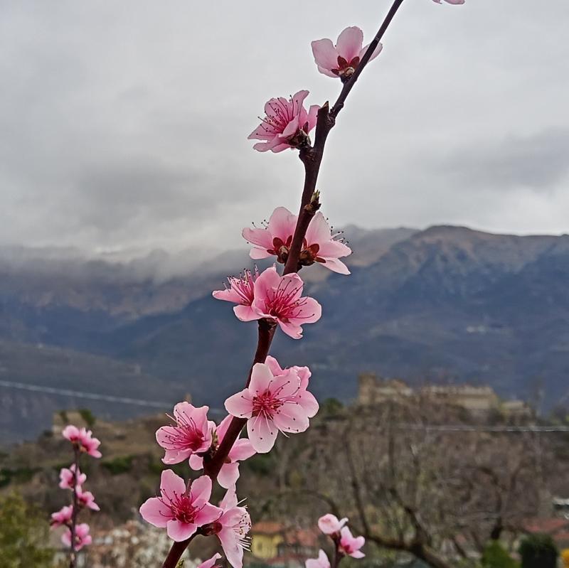 Fotosegnalazione di San giorio di susa