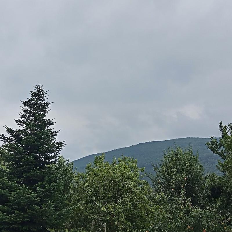 Fotosegnalazione di San giorio di susa