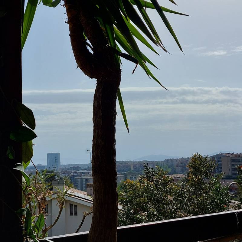 Fotosegnalazione di Roma torrino