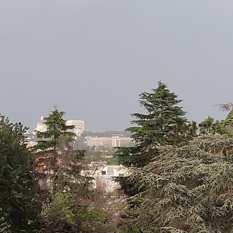 Roma Torrino