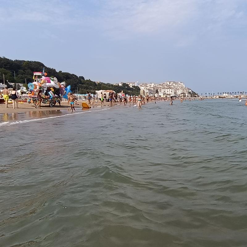 Fotosegnalazione di Rodi garganico