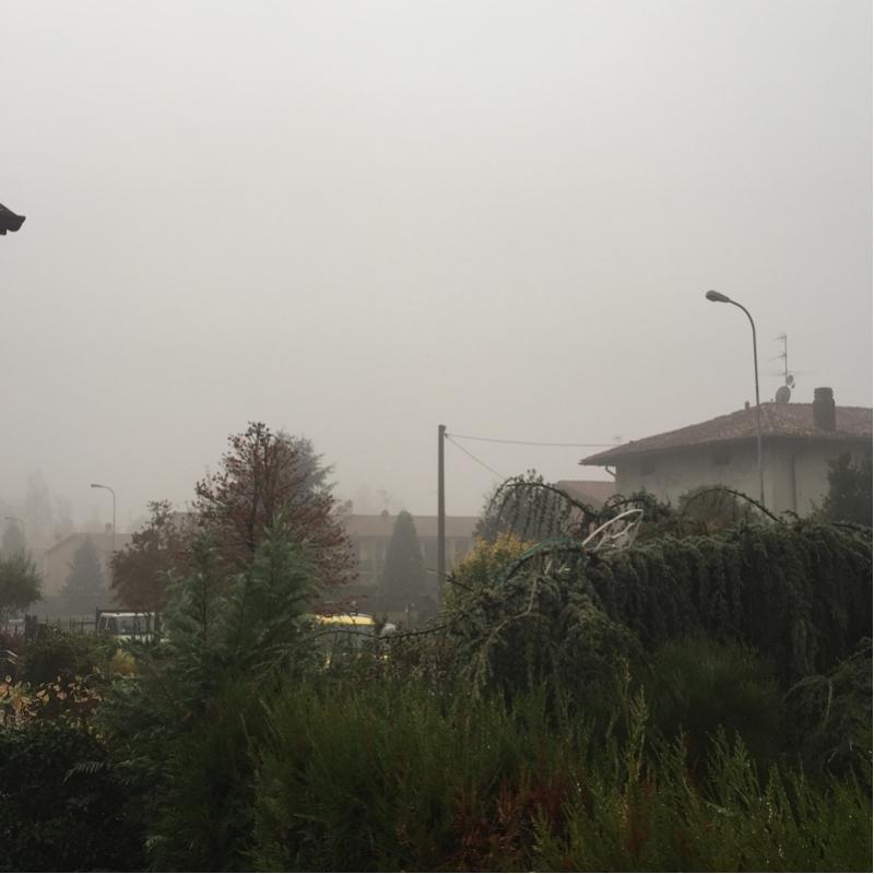 Fotosegnalazione di Sotto il monte giovanni xxiii
