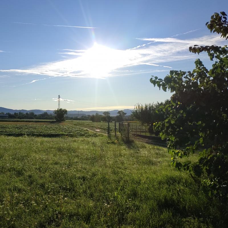 Fotosegnalazione di San giovanni al natisone