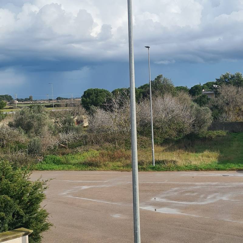 Fotosegnalazione di Merine