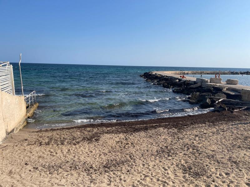 Fotosegnalazione di Bari palese