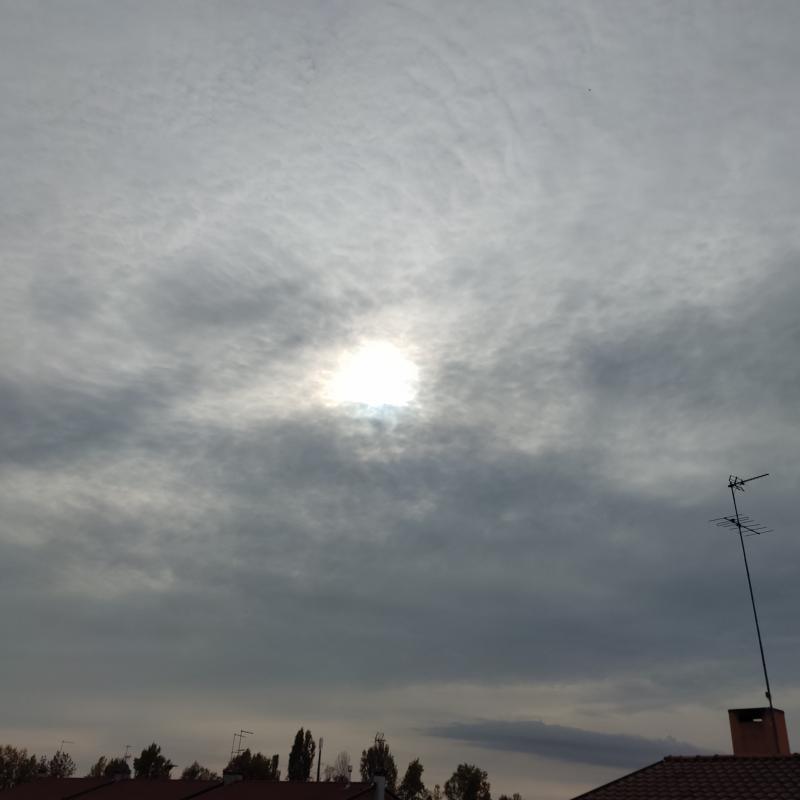 Un po' di sole in mezzo al grigio.....
