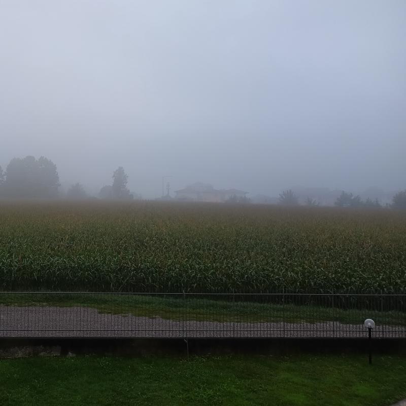 Fotosegnalazione di Romano di lombardia
